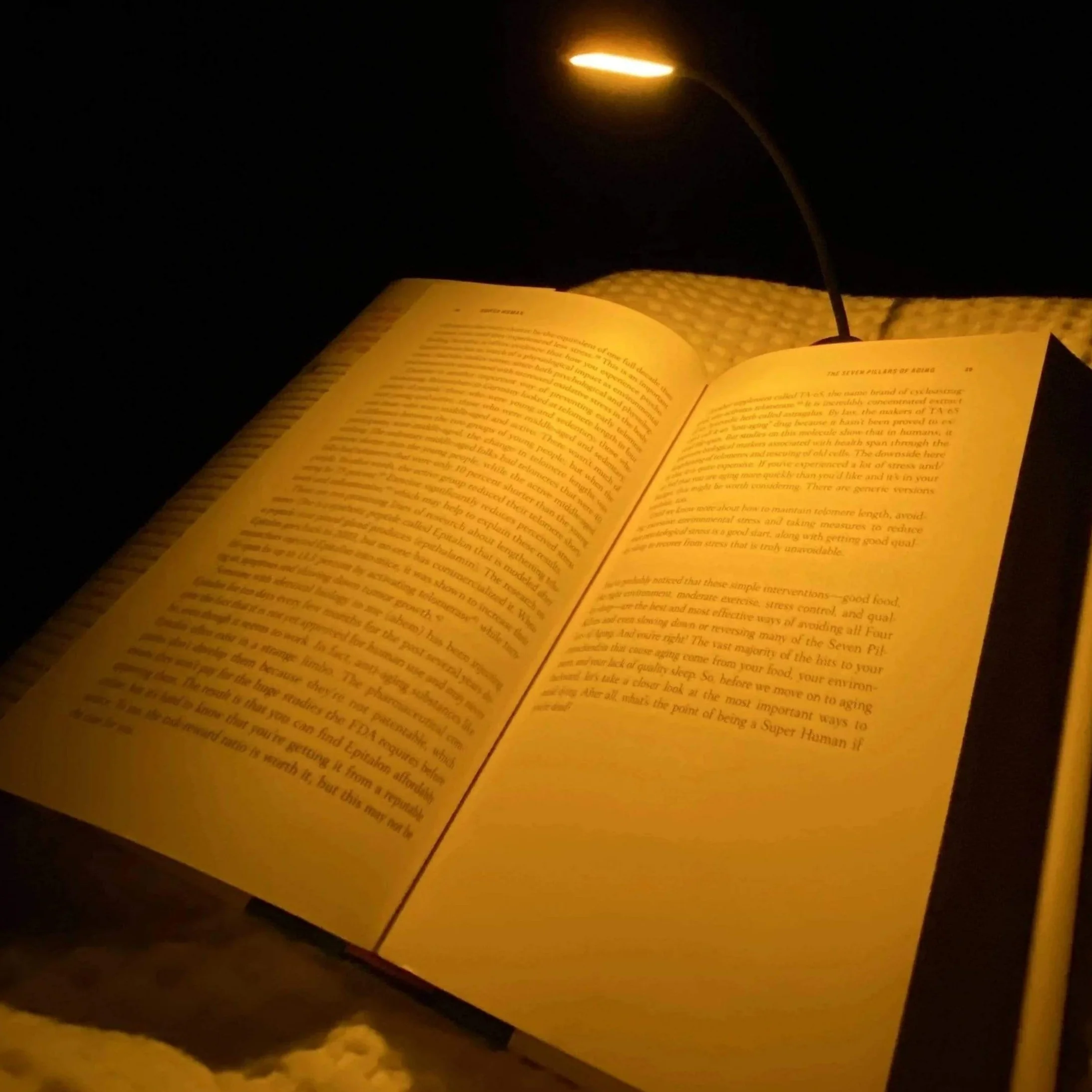 NoBlue Amber Book Light - Image 2